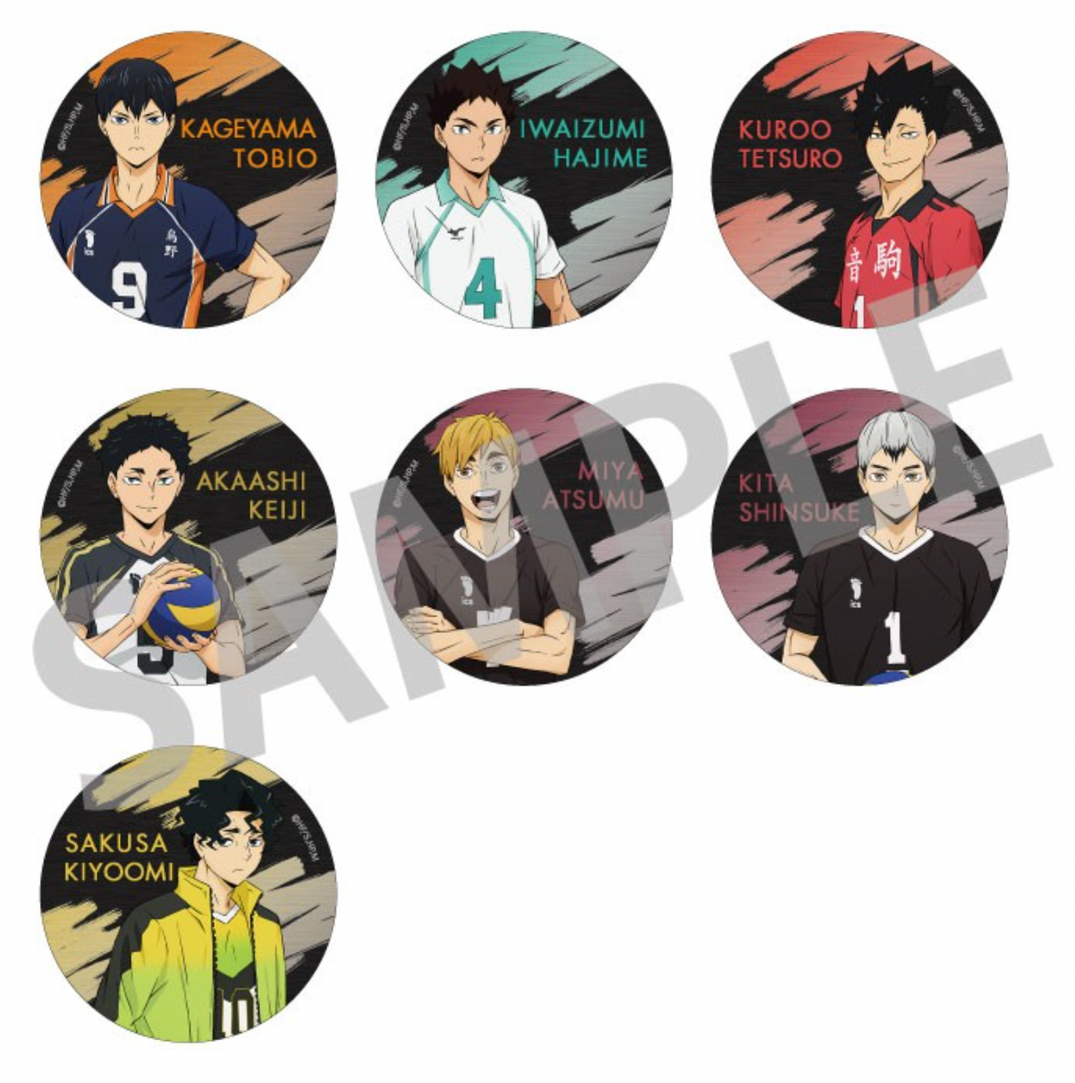 Haikyu!! Trading Metal Can Badge B (1 Random)