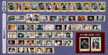 Demon Slayer Kimetsu no Yaiba Pashakore Vol. 3 (1 Pack / 3 Cards)